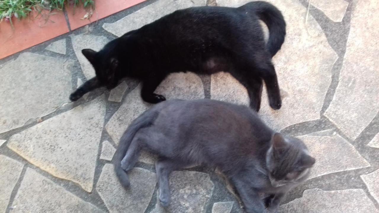 T2 Kay Zanndoli Villa La Trinité Kültér fotó